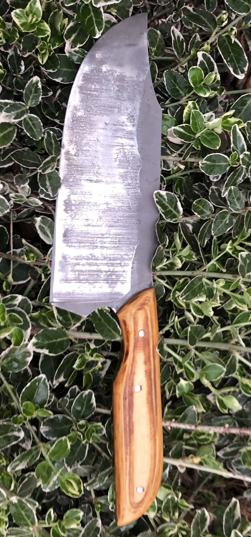 Wilderland Kitchen Knife